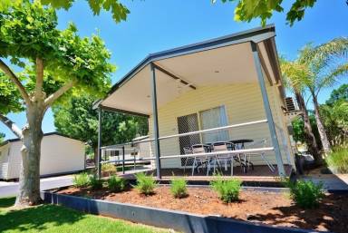 Holiday park  Mildura
