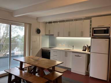Apartment Falls Creek