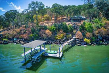 Cabin  Clearlake Park