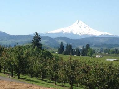 House Hood River