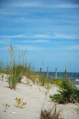 House  Tuckerton