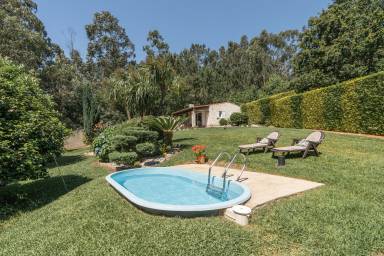 Cottage Taragoña