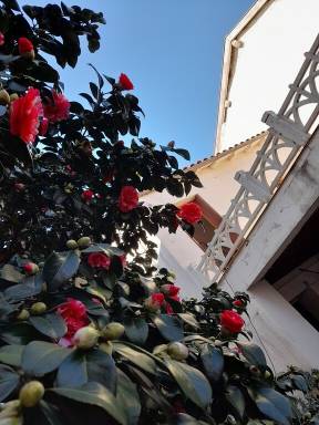 House Roanne