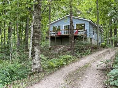 Cottage Lion's Head