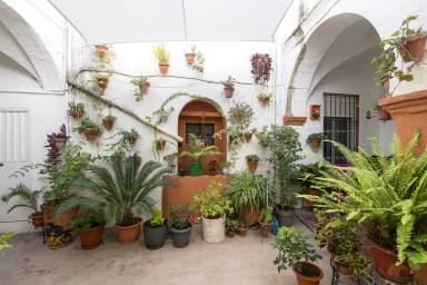 Apartamento Arcos de la Frontera