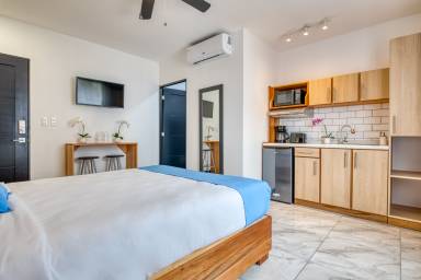 Apartment San José