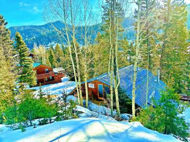Cabin Red River