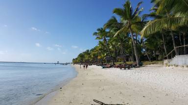 Apartment  Mont Choisy Beach