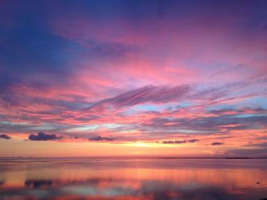 House Tarpon Springs