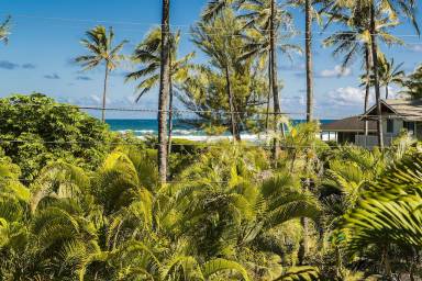 House  Wainiha