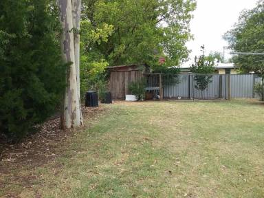 Accommodation  Coonabarabran