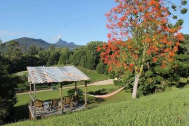 House Murwillumbah