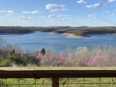 Condo  Bull Shoals