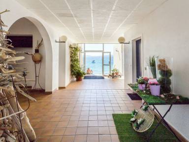 Appartement Le Lavandou