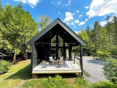 Cabin Arkville