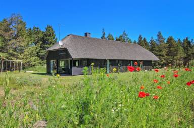 House Blåvand