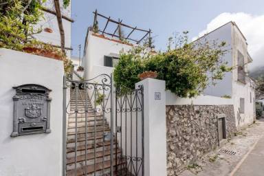 Apartment  Capri