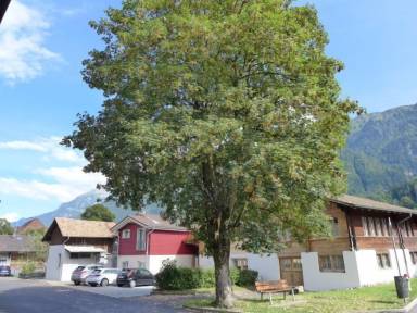 Appartement Interlaken