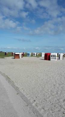 Dom Wangerland