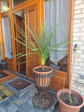 Farmhouse Samtens
