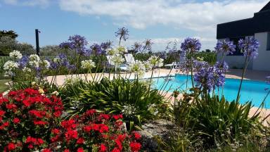 Maison de vacances  Brignogan-Plages