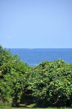 Apartment Montauk