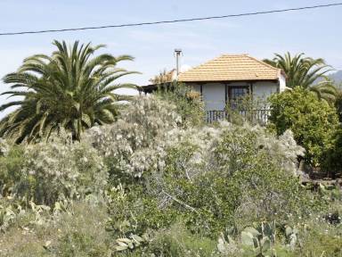 Apartamento Tijarafe