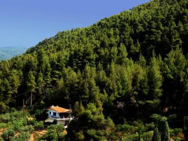 Apartment Sithonia