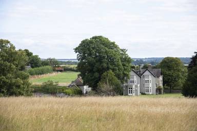 House Farnham