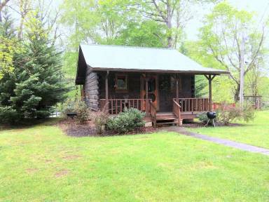 Cabin  Townsend