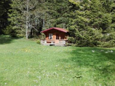 Ferienwohnung Feldberg (Schwarzwald)