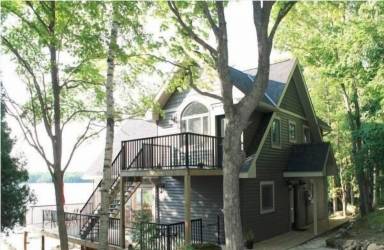 Cottage Lion's Head