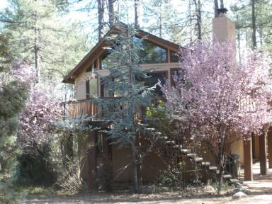 Cabin  Pine