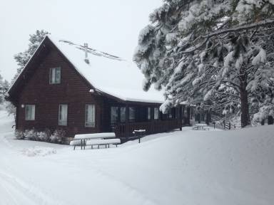 Cabin  Lake City