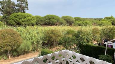 Apartamento Lepe