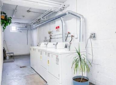 Apartment  Roselle Park