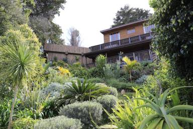 Cottage  Thesen Island