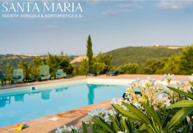 Apartment San Venanzo