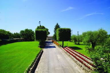 House  Monteroni d'Arbia