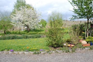 Apartment  Senhals