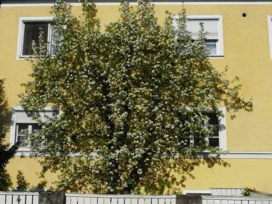 Apartament Salzburg