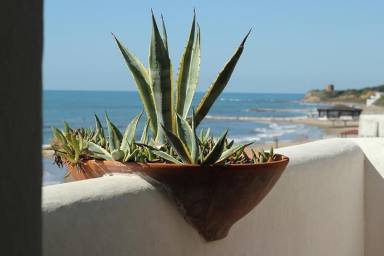 Appartamento  Anzio