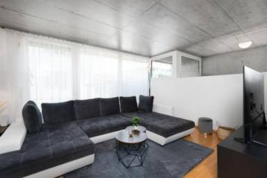 Apartment  Thun