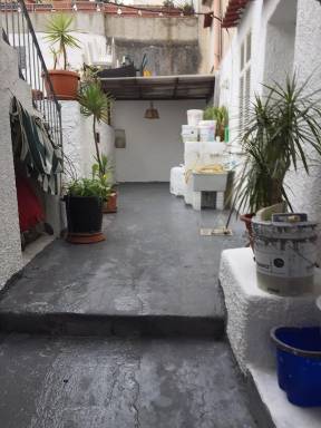 Ferienwohnung Ischia Insel