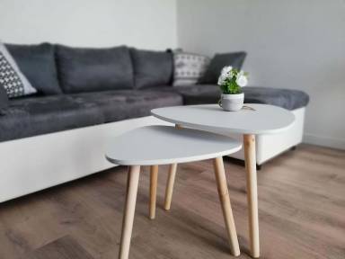 Apartment  Tournefeuille