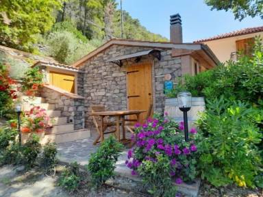 House Castellina Marittima