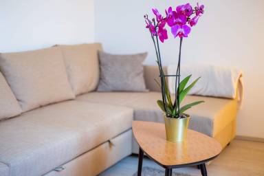 Appartement Nové Mesto