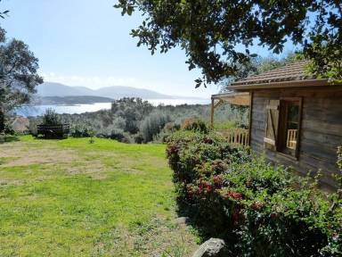 Chalet  Olmeto