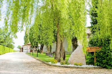 House  Musile di Piave