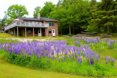 House Mount Desert